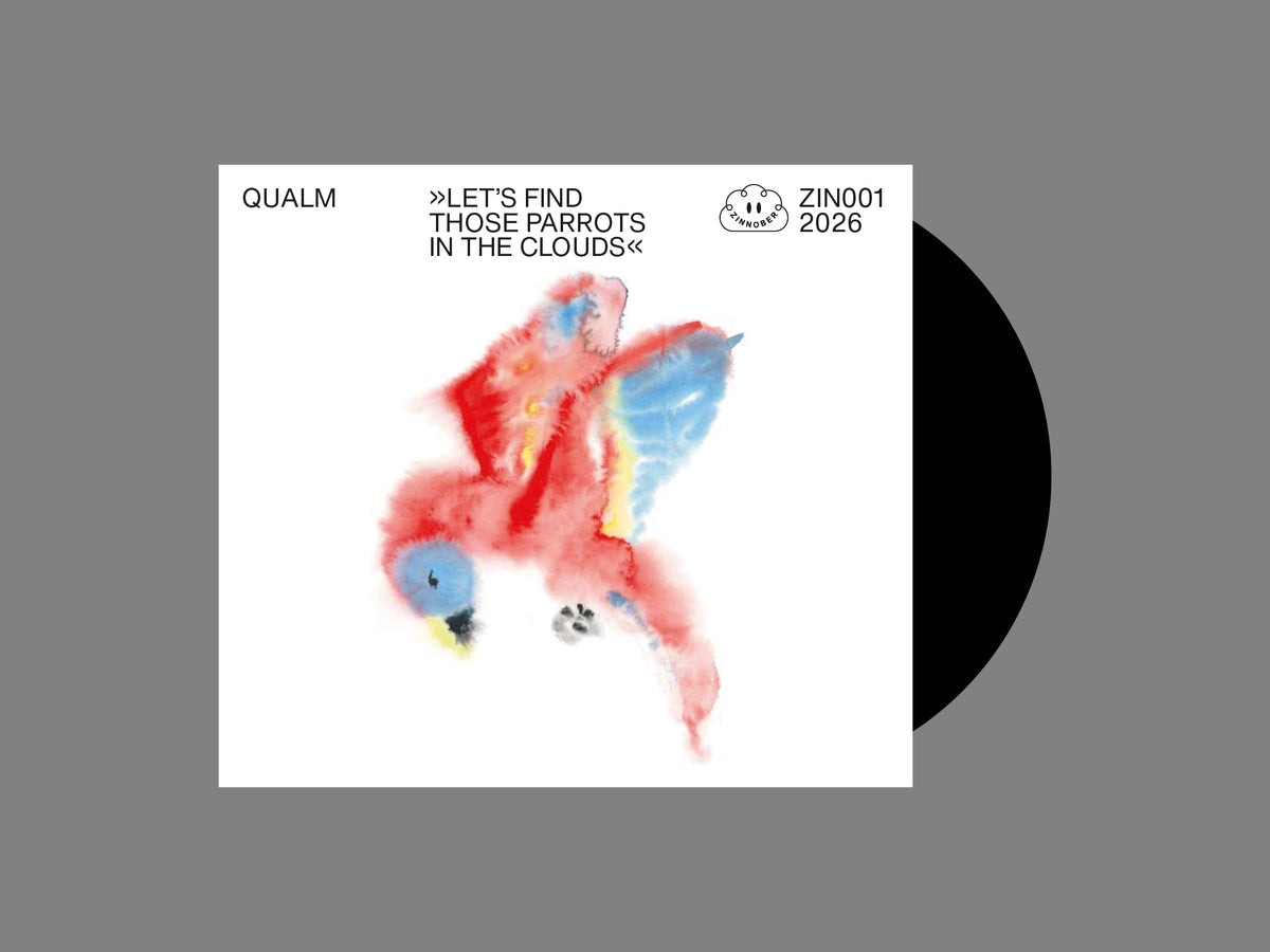 LET'S FIND THOSE PARROTS IN THE CLOUDS (CD)