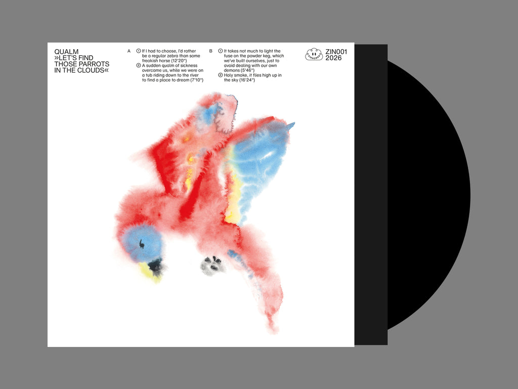 LET'S FIND THOSE PARROTS IN THE CLOUDS (LP)