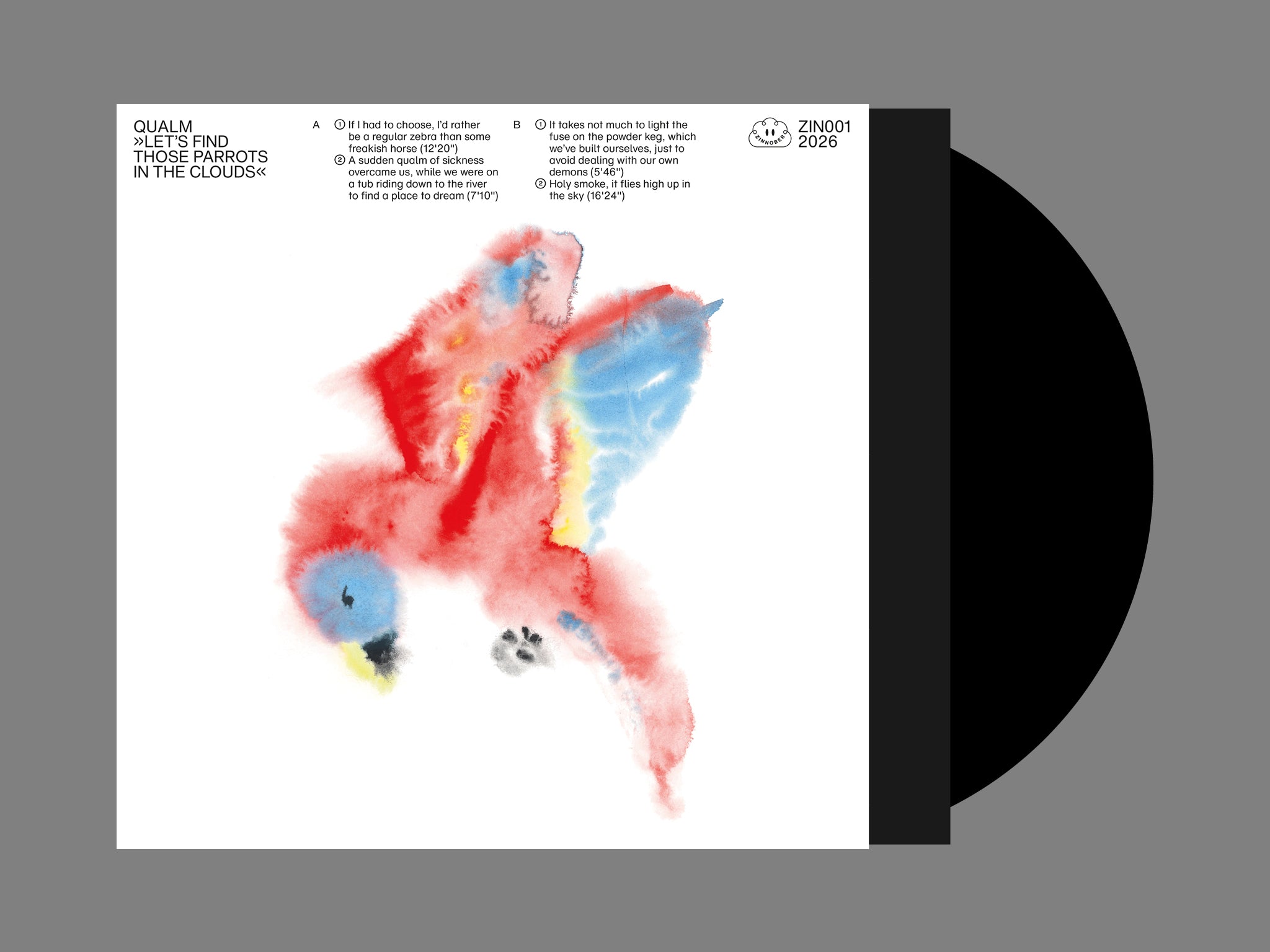 LET'S FIND THOSE PARROTS IN THE CLOUDS (LP)